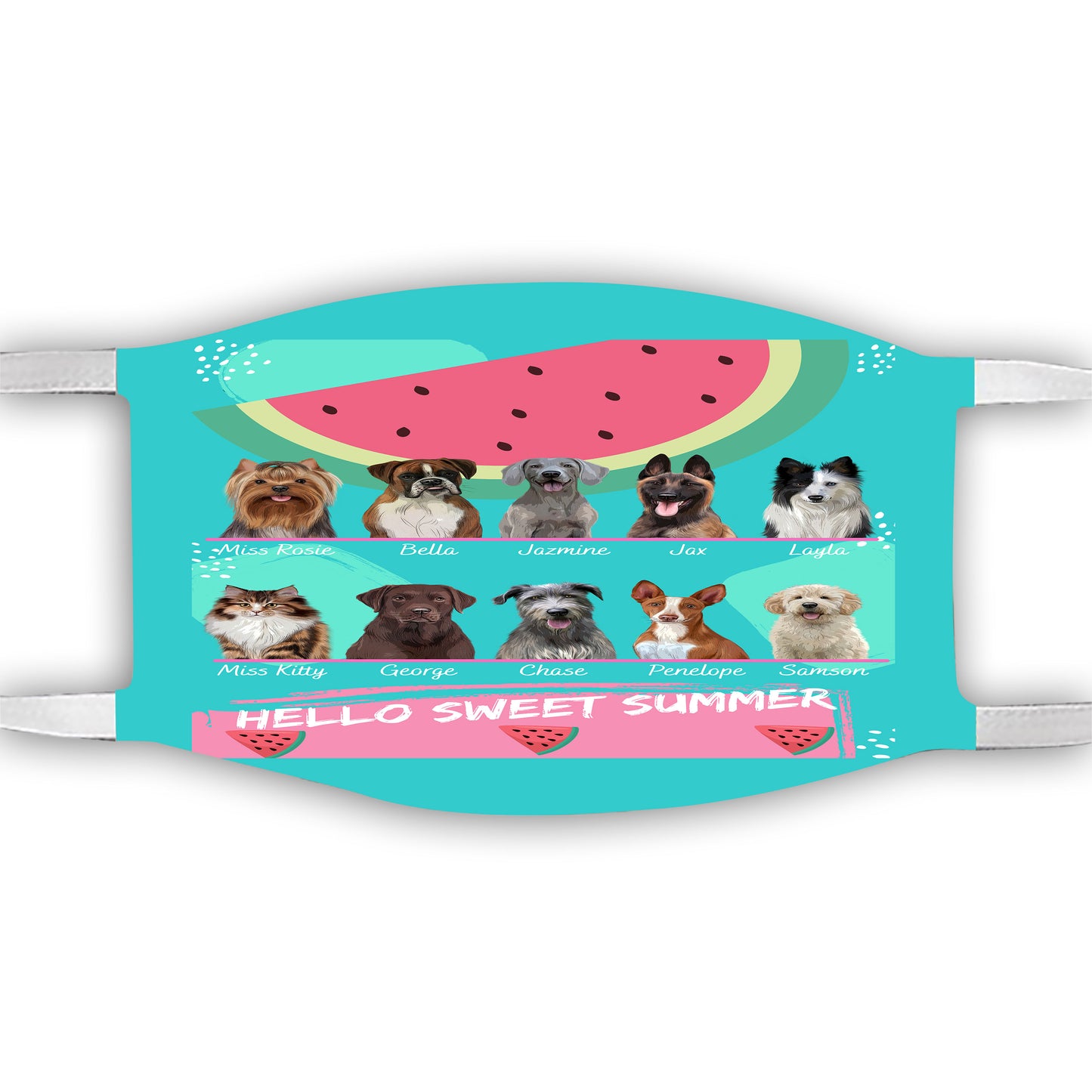 Personalized Hello Sweet Summer Watermelon Dog Cat Pets Face Mask 1-10 Pets